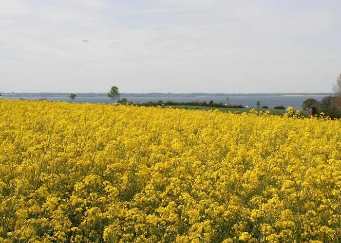 Holiday home Lounge Ii